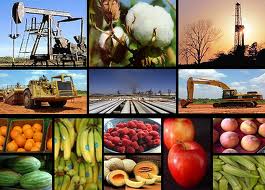 Entrevistando  a los Sectores Econ&oacute;micos del Pa&iacute;s